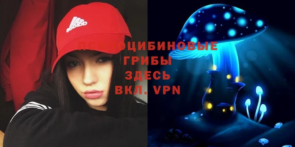 мдпв Беломорск
