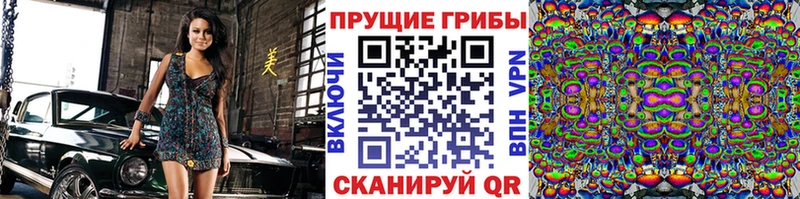 Псилоцибиновые грибы мухоморы  Шуя 